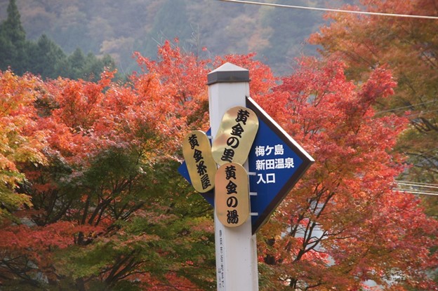 DSC05610