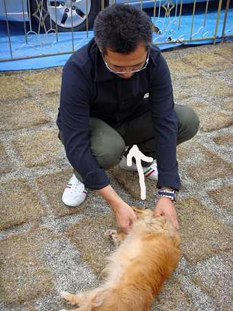 2011/5 おげ邸 BBQ-12