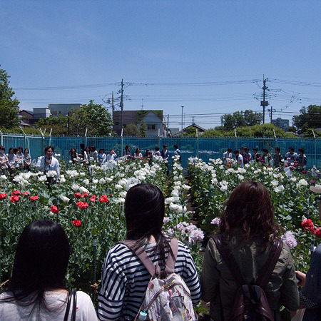 医学生が熱心（？）に聴いています