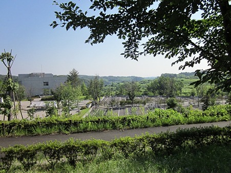 多摩美術大学