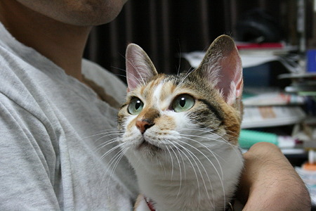 2010092401