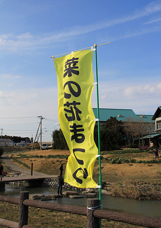 a20110219房総半島 (10)