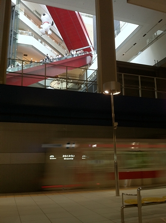 iP110807_010