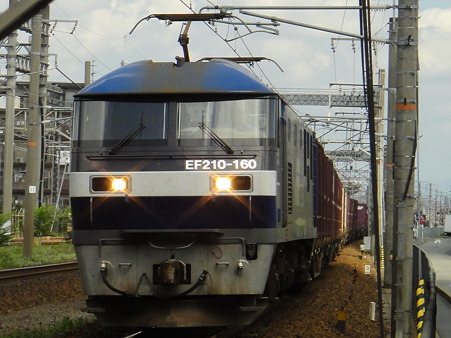 DSC00939