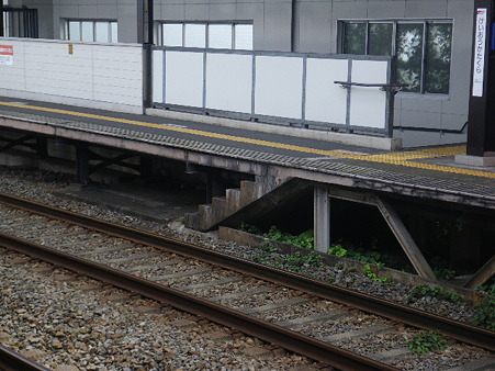 IMGP2520