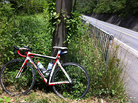 写真 1