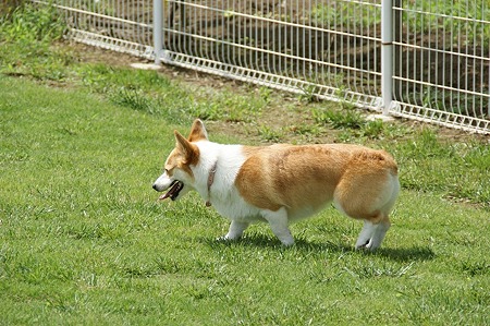 DSC01032