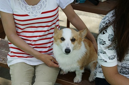 DSC02203