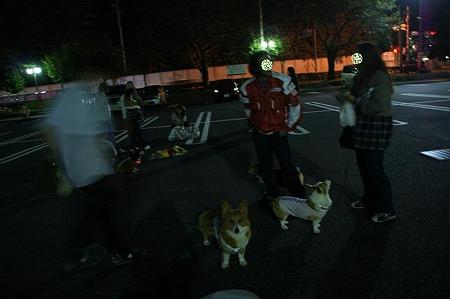 DSC03918