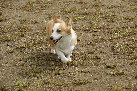 DSC04022