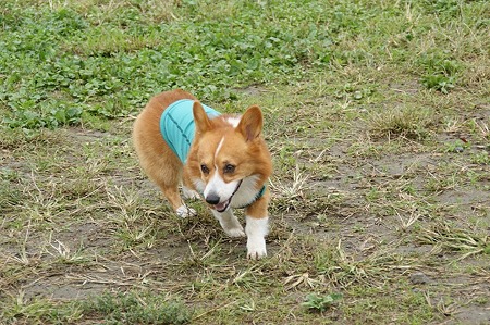 DSC04374