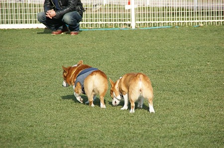 DSC06700