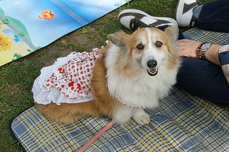 DSC09250