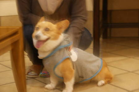 DSC01479