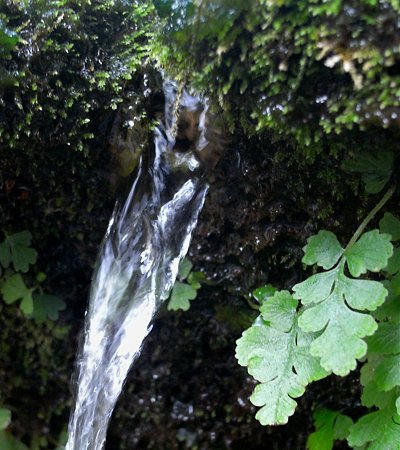 RIMG0261-名水１