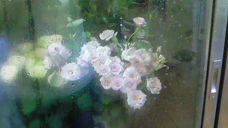 201007041202000
