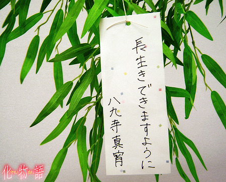 mayoi_wish mayoi_wish