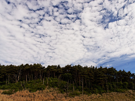 UZ120360_DxO_raw