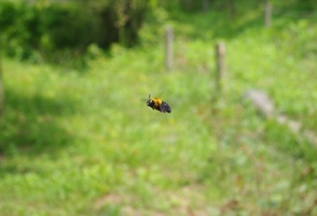 IMGP2536_0513