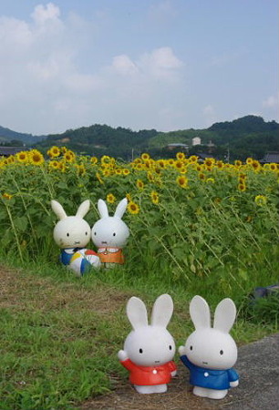 IMGP8654_0723