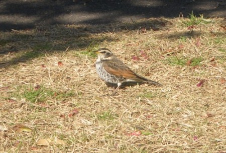 IMGP0322_0814