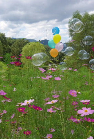 IMGP3858_0911