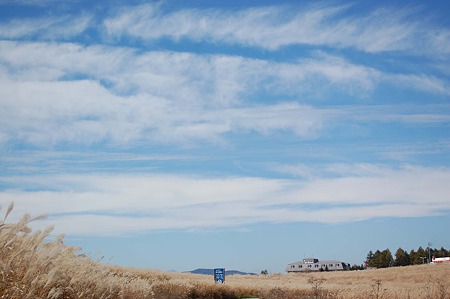 DSC_5417d4LL