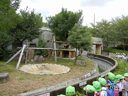 2011年秋パンダ屋外運動場に登場