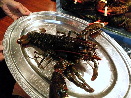着陸@Red Lobster