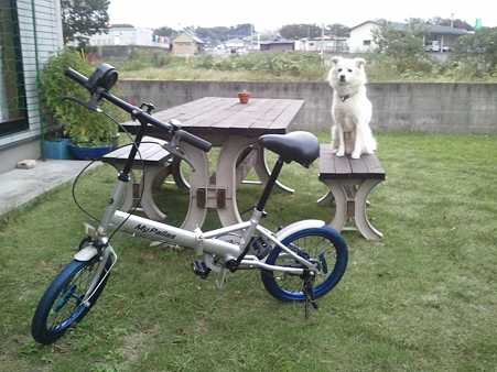 自転車