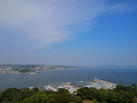 P8110348