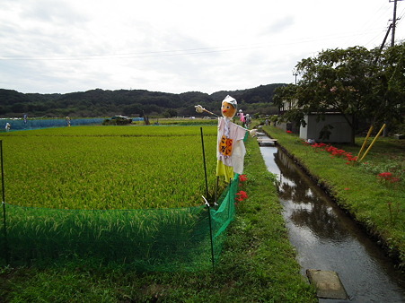 巾着田 042