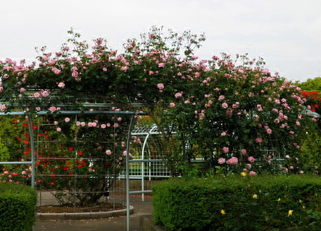 IMGP0020