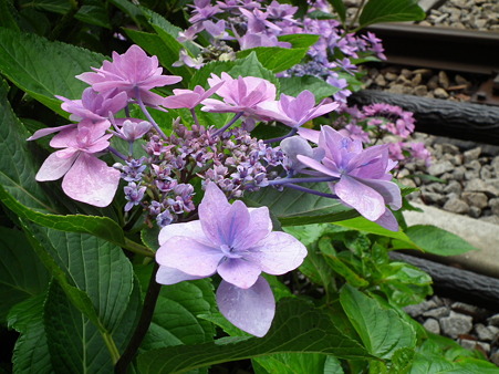 画像 121