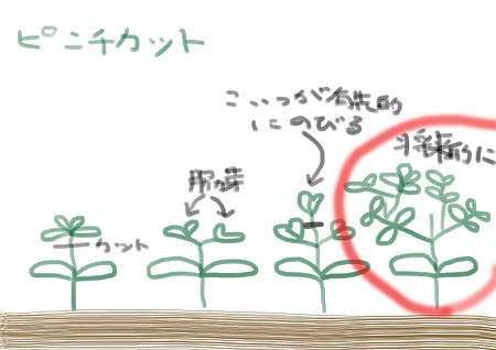 名称未設定 2