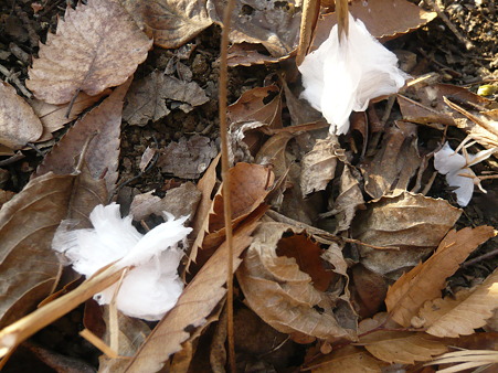 P1080948