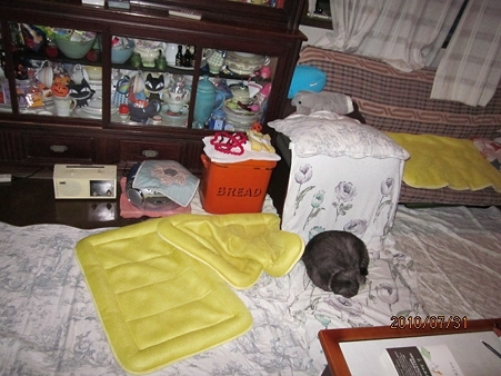 IMG_1697jl