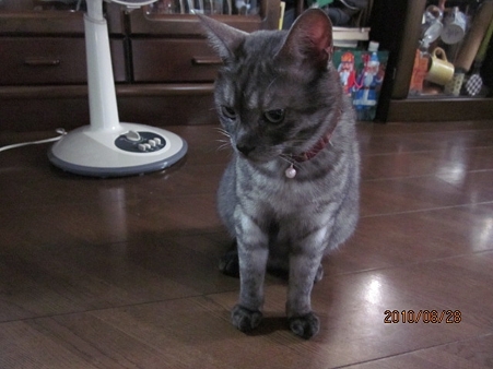 IMG_5562au