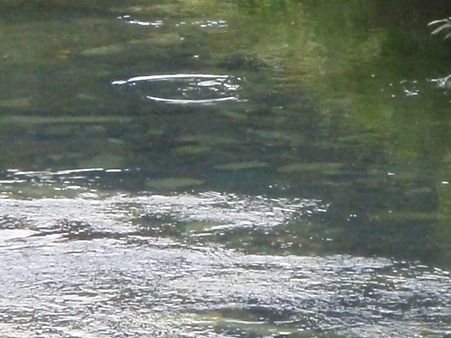 PA070034