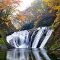日本の美しい滝！