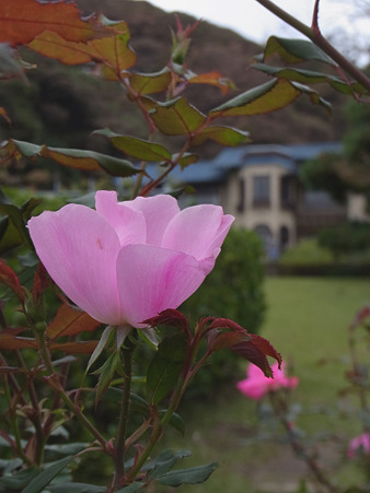 鎌倉文学館