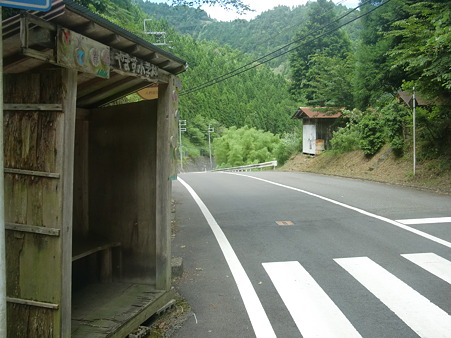 CIMG0336 CIMG0336