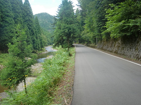 CIMG0337 CIMG0337