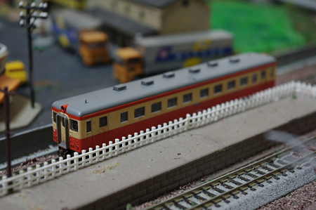 IMGP5788
