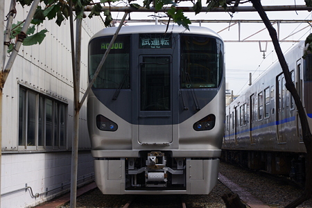 IMGP6308
