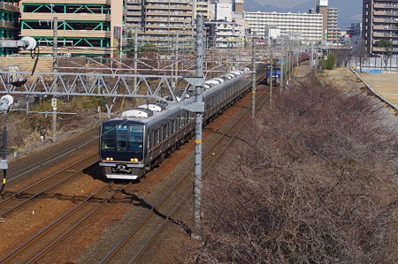 IMGP7883