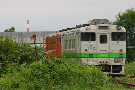 IMGP2536