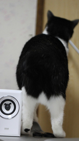 おちり3