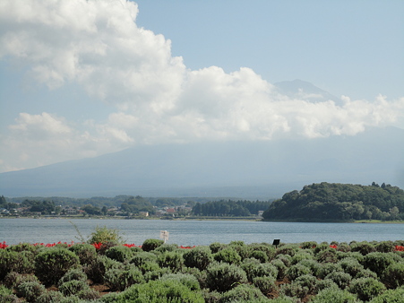 河口湖(大石公園)