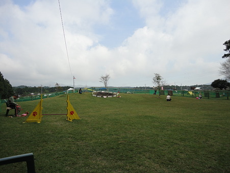 DSC05639